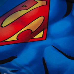 Camiseta Niño Superman Core