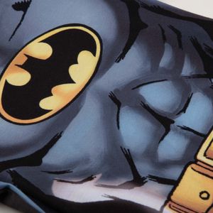 Camiseta de niño,manga corta gris/azul de Batman Dc Comics