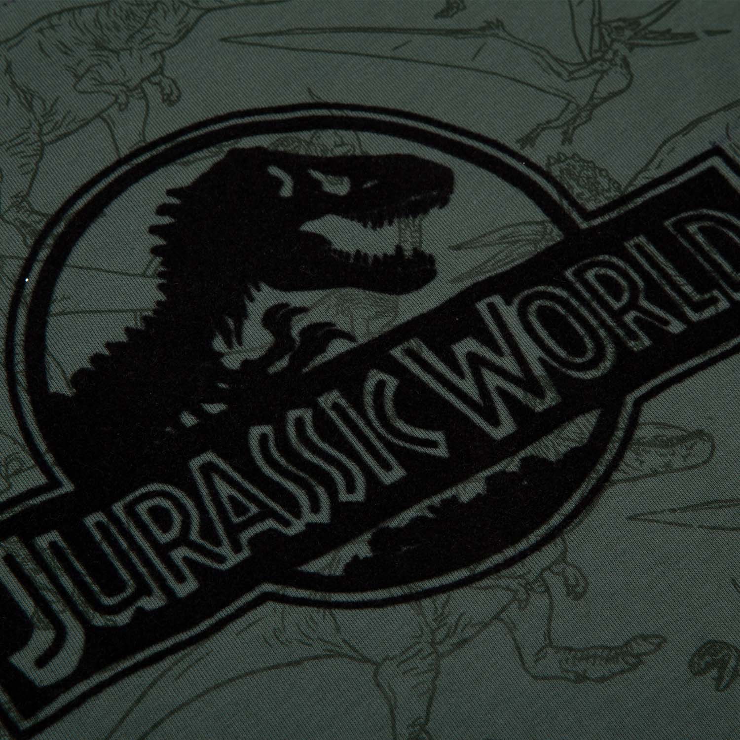Camiseta de niño, manga corta verde de Jurassic World - Tienda Online MIC