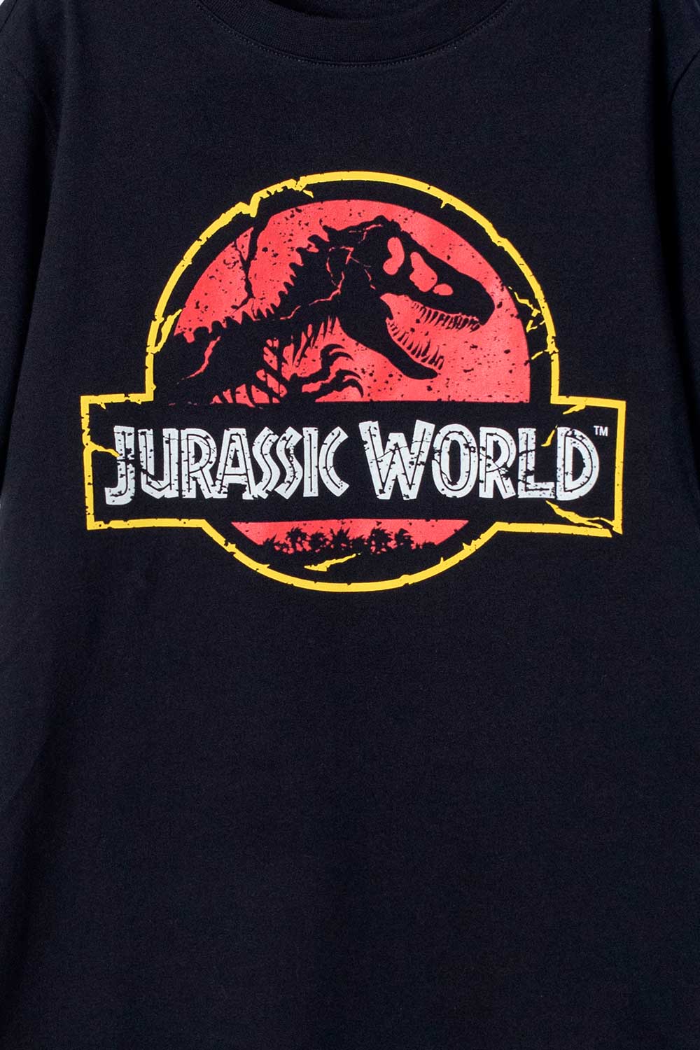 Fábula músico Inactivo Camiseta de niño, manga corta negra de Jurassic World - Tienda Online MIC