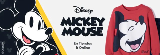 Imagen responsive